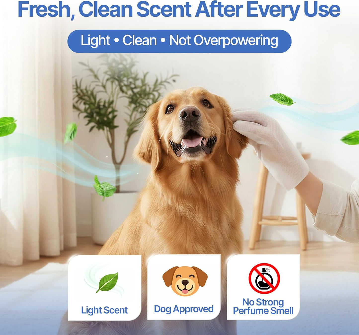 Every Good Dog™ EasyGroom