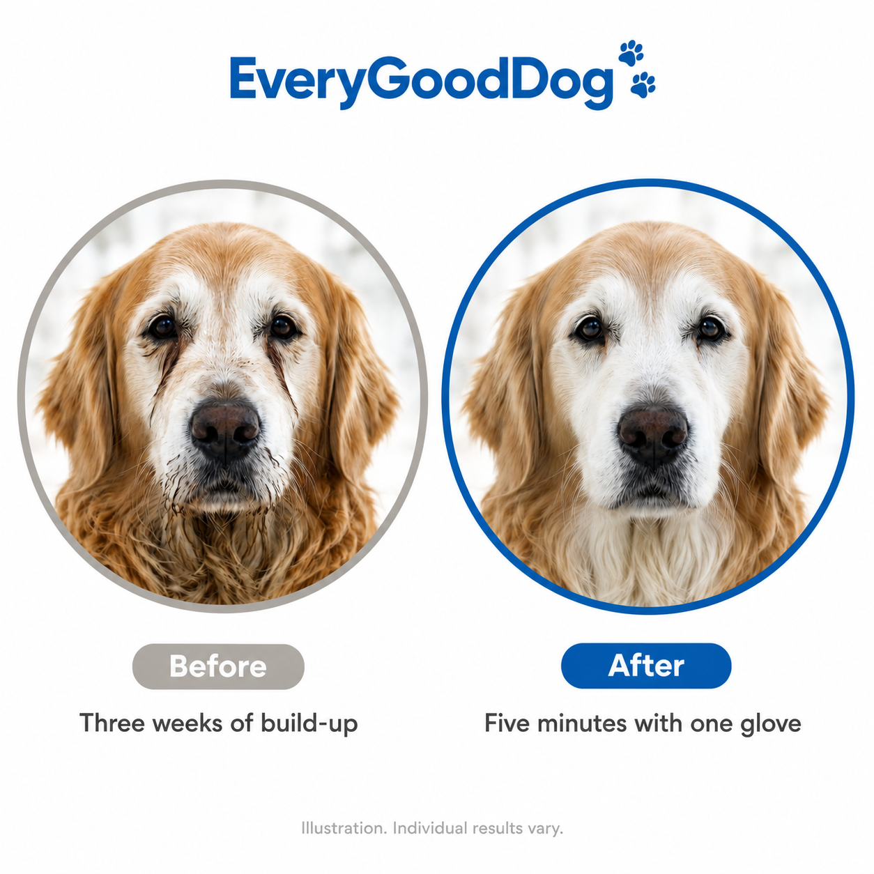 Every Good Dog™ Comfort Clean