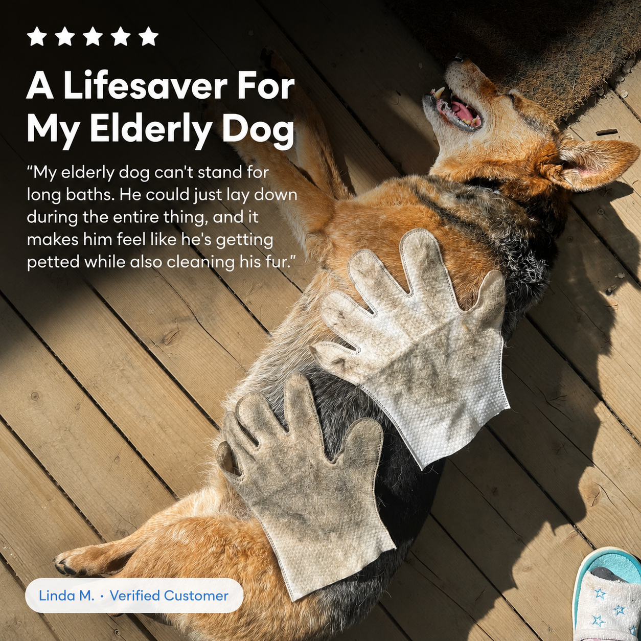 Every Good Dog™ Comfort Clean