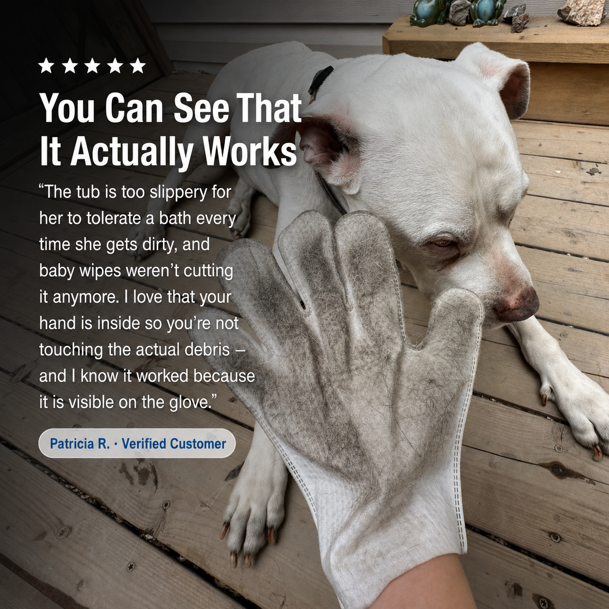 Every Good Dog™ Comfort Clean