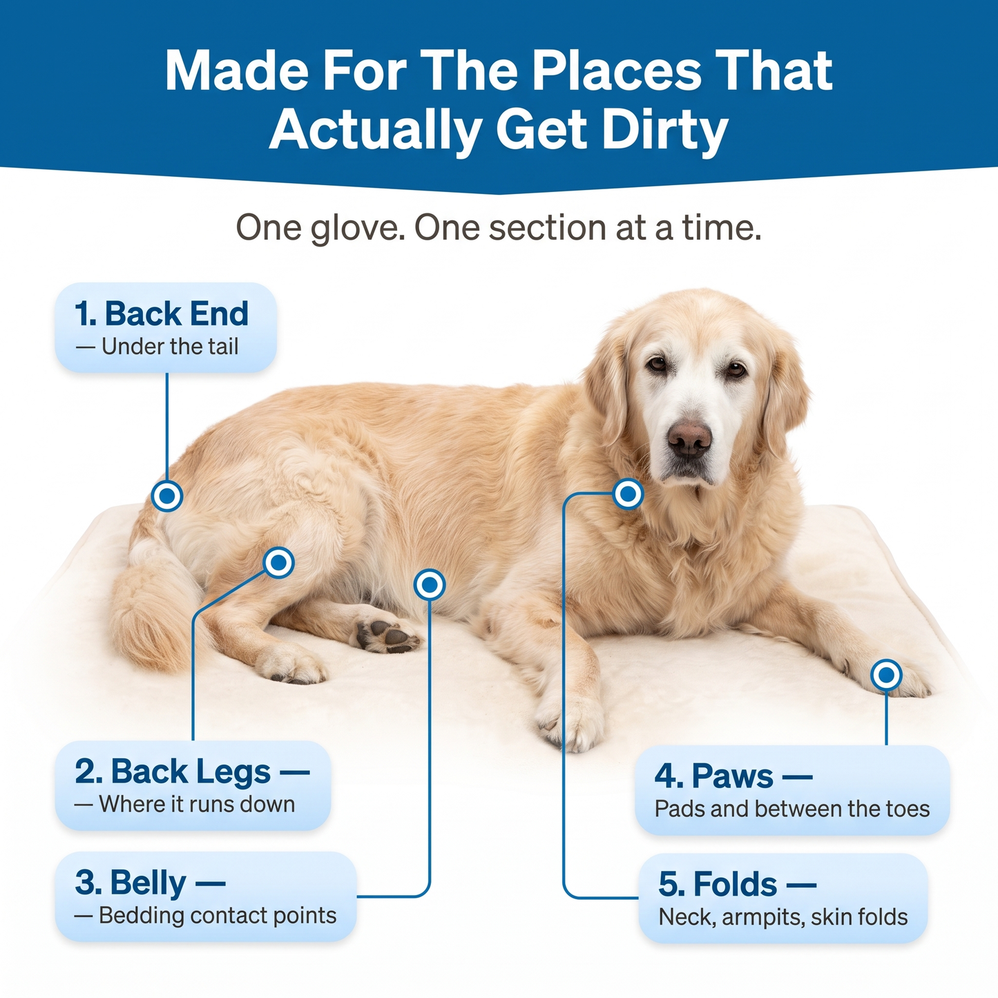 Every Good Dog™ Comfort Clean